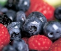 Sexy Berries