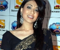 Stardust Awards 2009