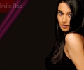 amrita rao 1024x768