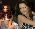 Celina Jaitley 1024x768 1