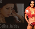 Celina Jaitley 1152x864 3