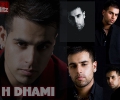 H Dhami 0124x768 wallpaper