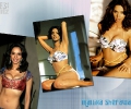 Mallika Sherawat 1024x768
