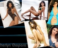 Sherlyn Chopra 1024x768