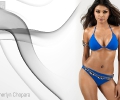 Sherlyn Chopra 1152x864