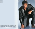 srk1024x768_1.jpg