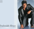 srk800x600_1.jpg