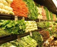Stuffed and Starved-Global Food Crisis