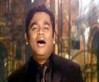 Pussycat Dolls cover Jai Ho
