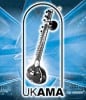 2010 UK Asian Music Awards Winners