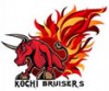 IPL 2011 Teams and Players