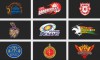IPL 2013 Auction Results