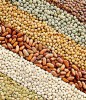 Health Benefits of Soya