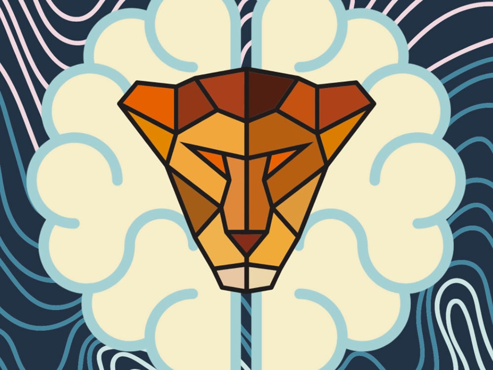 Lioness
