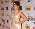 59th Filmfare Awards 2014