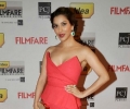 59th Filmfare Awards 2014