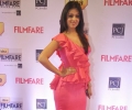 59th Filmfare Awards 2014