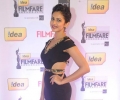 59th Filmfare Awards 2014