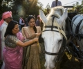 Ambika & Rahul gallery 18