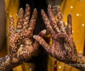 Ambika & Rahul gallery 8