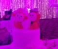 Bipasha Basu and Karan Singh Grover Wedding Photos
