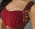 Gorgeous Saree Blouse