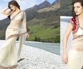Gorgeous Saree Blouse