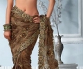 Gorgeous Saree Blouse