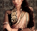 Gorgeous Saree Blouse