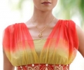 Gorgeous Saree Blouse