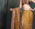 Gorgeous Saree Blouse