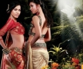 Gorgeous Saree Blouse