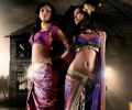 Gorgeous Saree Blouse