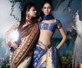 Gorgeous Saree Blouse