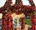 Parth & Anushree wedding Vienna