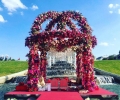 Parth & Anushree wedding Vienna