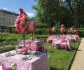 Parth & Anushree wedding Vienna