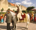 Parth & Anushree wedding Vienna