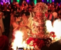 Parth & Anushree wedding Vienna