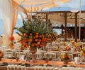 Ajay Gupta's son wedding