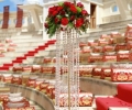 Ajay Gupta's son wedding
