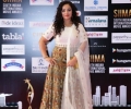 South Indian International Movie Awards 2016 Winners