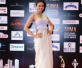 South Indian International Movie Awards 2016 Winners