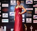 South Indian International Movie Awards 2016 Winners