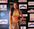 South Indian International Movie Awards 2016 Winners