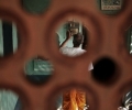 Steven Young Divya & Kalpesh - gallery 4