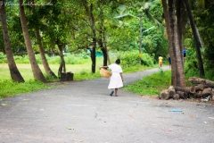 Arambol Beach: An Authentic Part of Goa