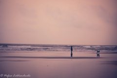 Arambol Beach: An Authentic Part of Goa
