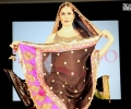 Asiana Bridal Show 2014 Birmingham