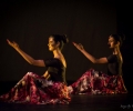 BollyDynamix